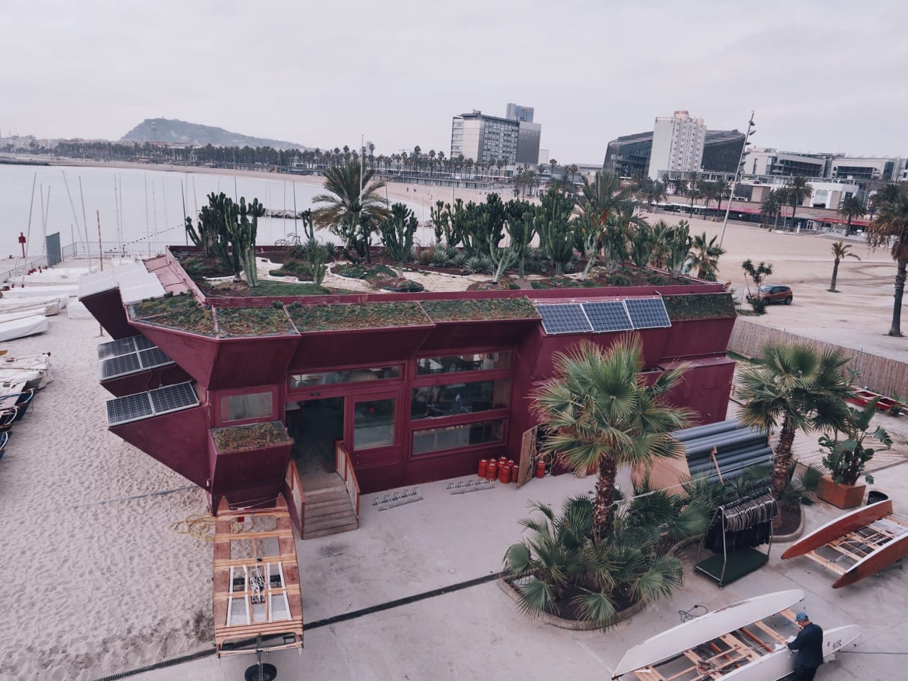 boat-shaped cafe with solar panels and vegetation growing on the roof